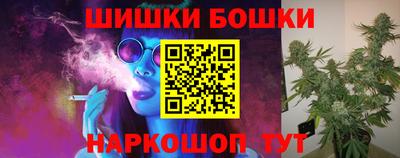крисы Малгобек