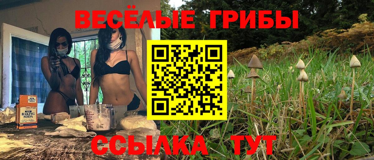 Псилоцибиновые грибы Psilocybe  Вход с VPN  Уссурийск 